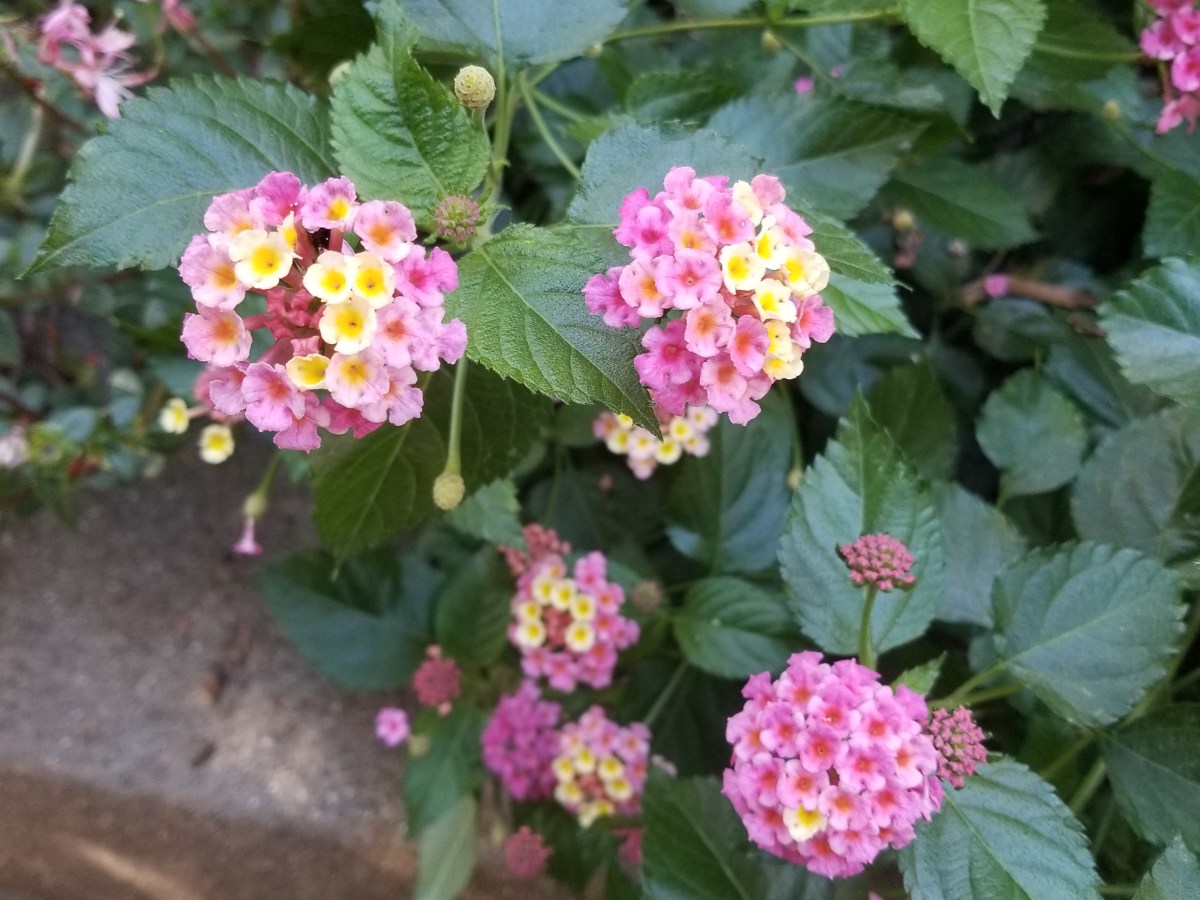 Processing a Generational&nbsp;Pain