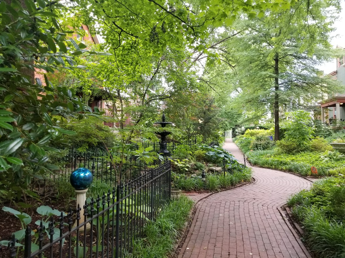 My walk today + bedtime&nbsp;moodz.